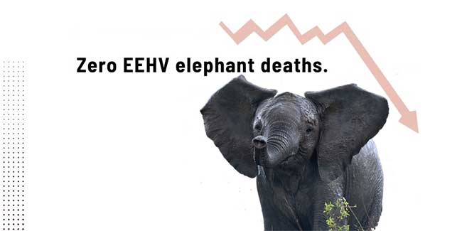 EEHV Advisory Group - ZERO Elephant Deaths