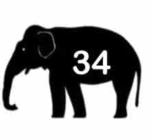 AsianElephantsVulnerable